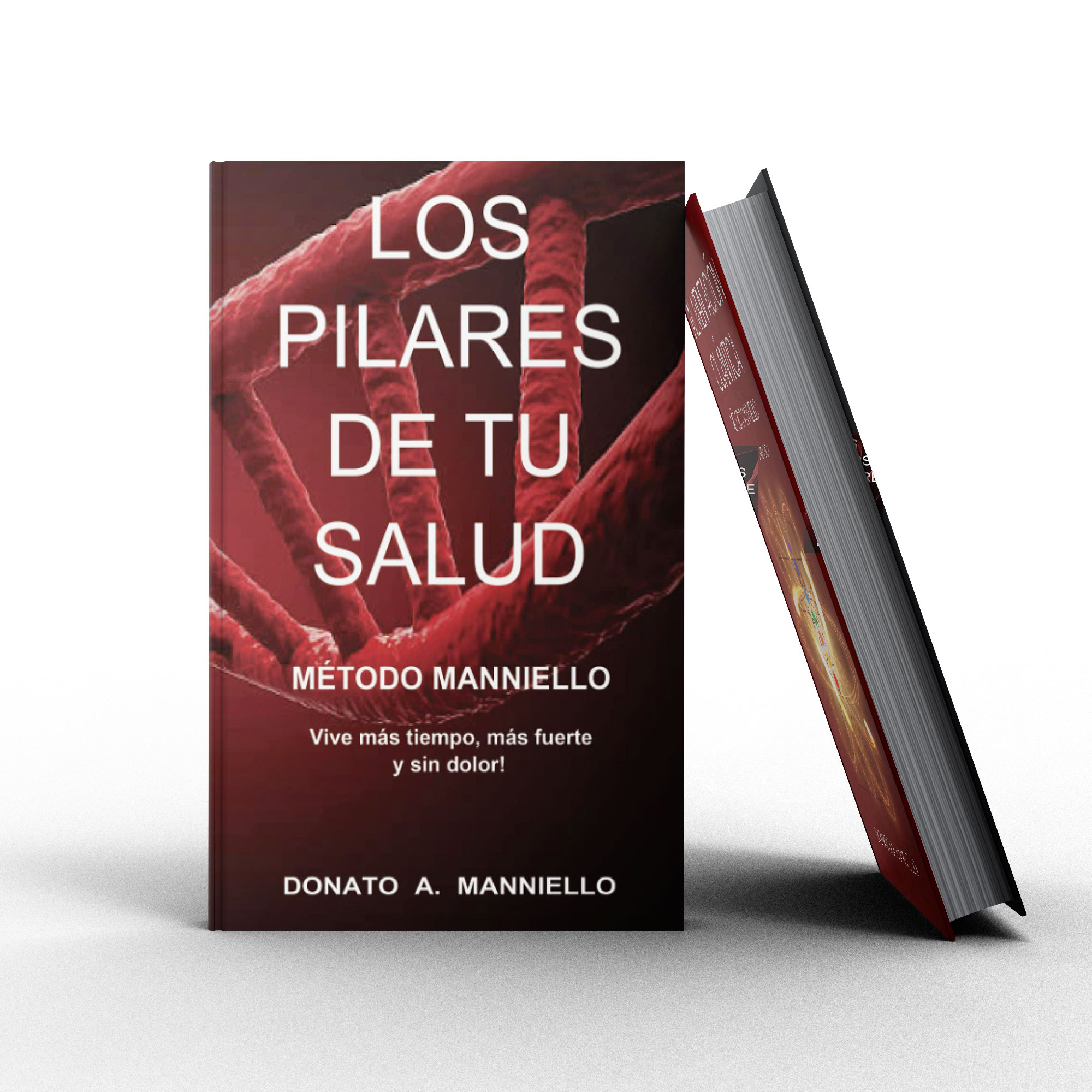 Los pilares de tu salud
